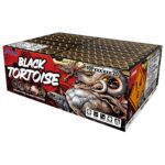 Black Tortoise
