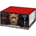 Cheetah
